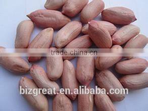 Peanut kernels in long shape for sale