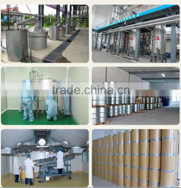 factory wholesale high quality eucalyptus citriodora oil