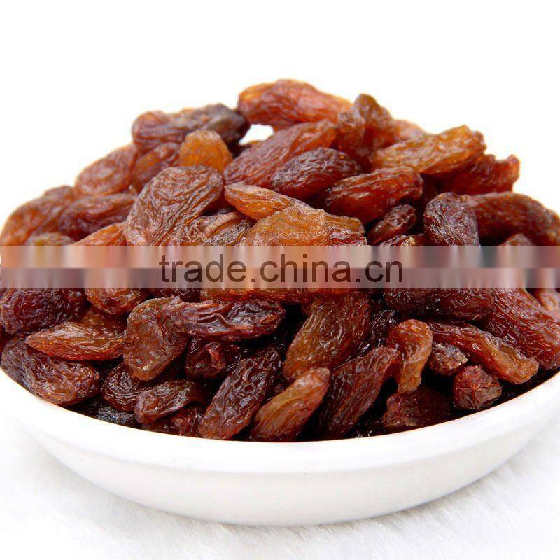 Hot Sale Zante Currant