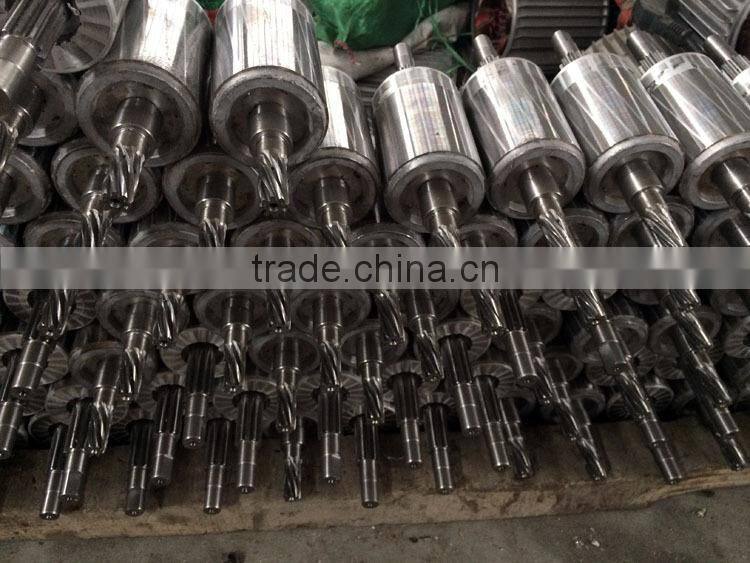 Electric Hoist with Wireless Remote PA200~1000