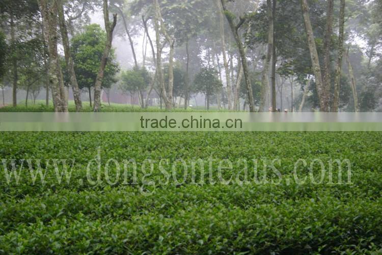 Four Season Oolong tea