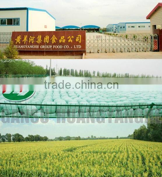 Cooked Vacuum Sweet Corn Snack