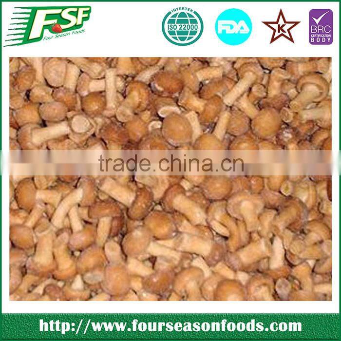 Factory Price frozen button mushroom