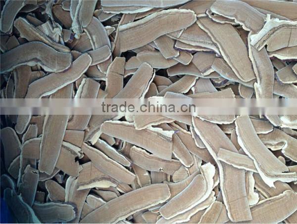 Dried Sliced Ganoderma Lucidum/Reishi Mushroom