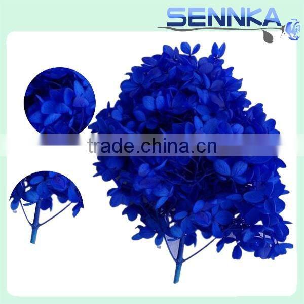 real natural purple color hydrangea preserved for flower arrangement