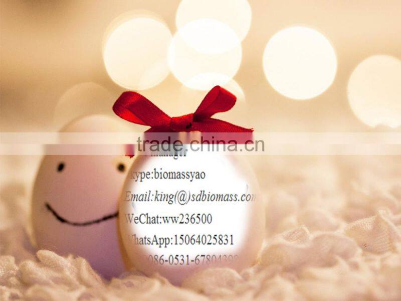 SKLN Counter Flower Cooler