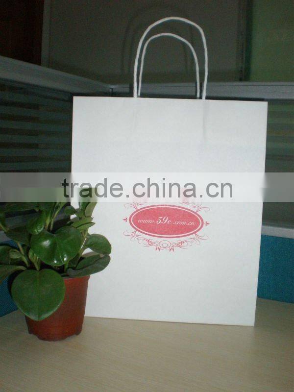 Fashion Apparel Paper Bag /Kraft Paper bag for Clothing / Garment