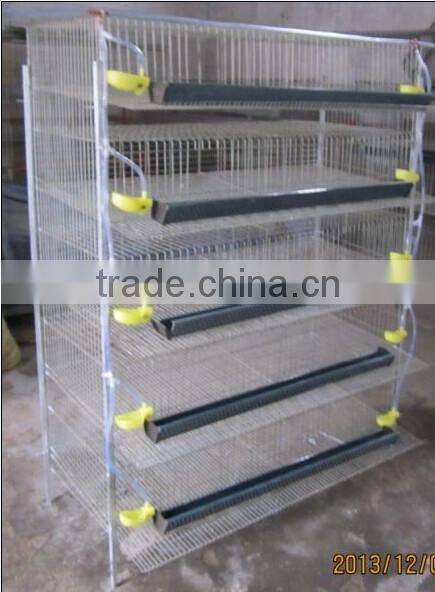 Quail cage with automatic water system
