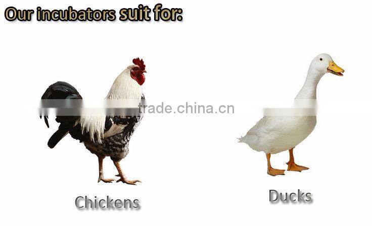 HHD CE approved 48 eggs incubator best-selling 48 eggs incubator/automatic mini incubator