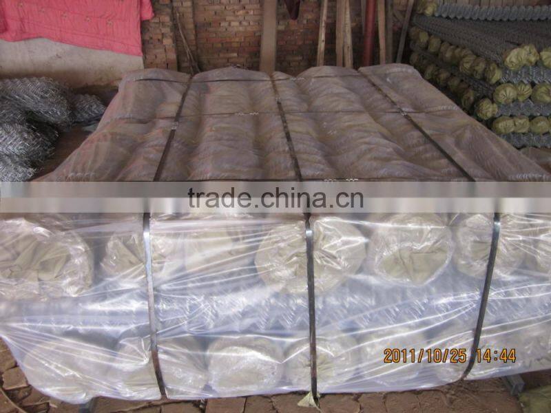 (30 years factory)Hexagonal chicken wire mesh