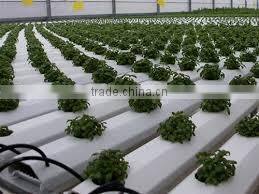 Most Popular Hydroponic NFT Channel pvc pipes