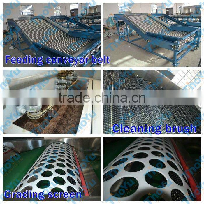 Thoyu Brand Salable Automatic Fruit Grading Machine by Size(SMS: 0086-15903675071)