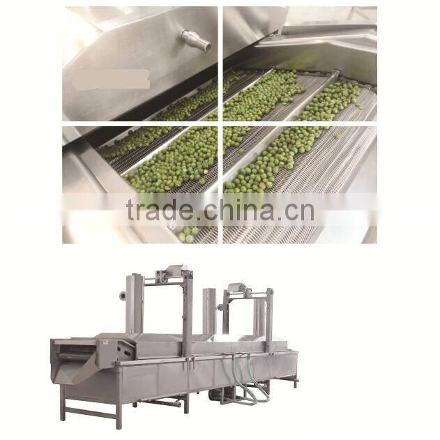 high qality ce approved continuous snack foodfrying machine 86-15154158335