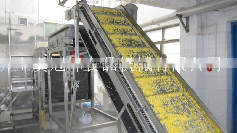 IQF frozen vegetables production line for vegetables and fruits