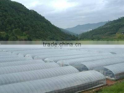 Agriculture greenhouse palstic mulch film