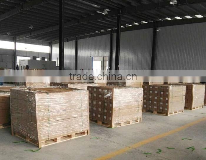 custom telescopic pole