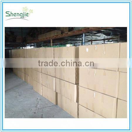 Artificial fruits and vegetables