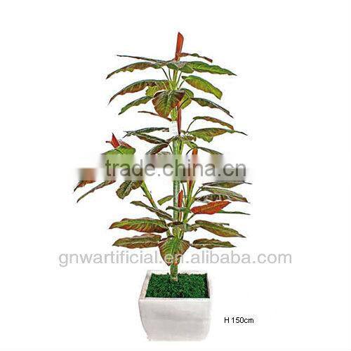plant and tree nursery green mini plants indoor office GNW G120
