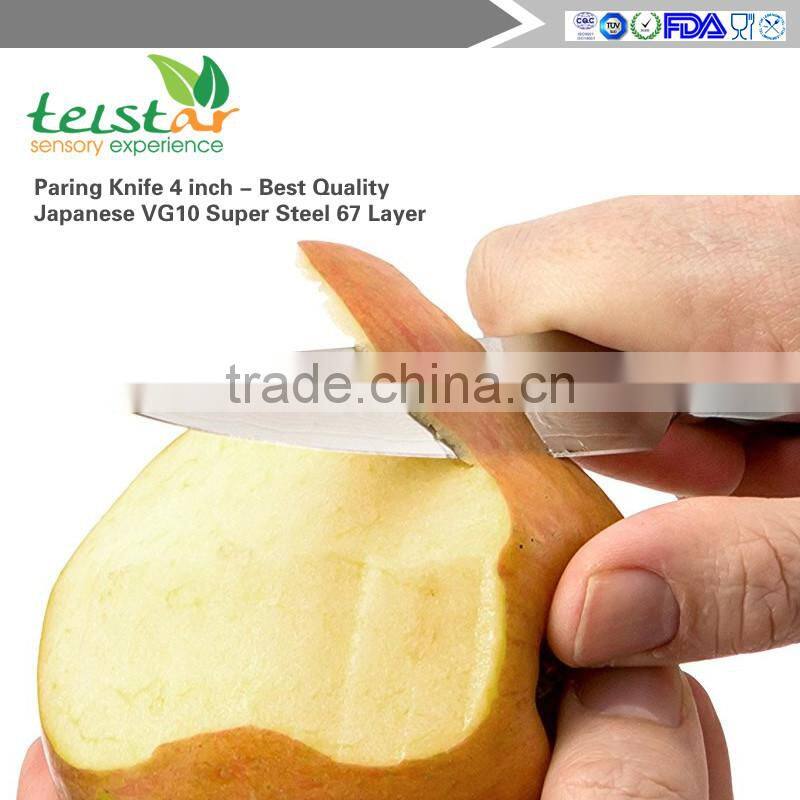 Paring Knife 4 inch - Best Quality Japanese VG10 Super Steel 67 Layer High