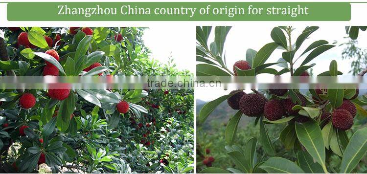 China's Famous canned waxberry
