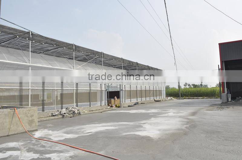 Hot Dipped Galvanized Frame Double Layers Inflatable Greenhouse