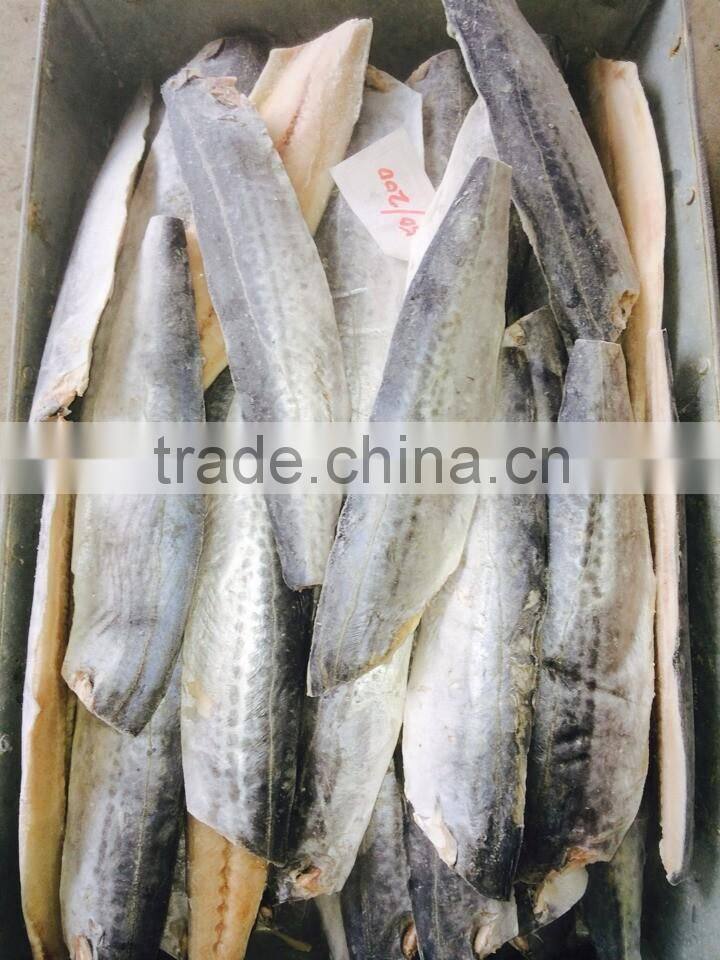 frozen spanish mackerel 2/3kg