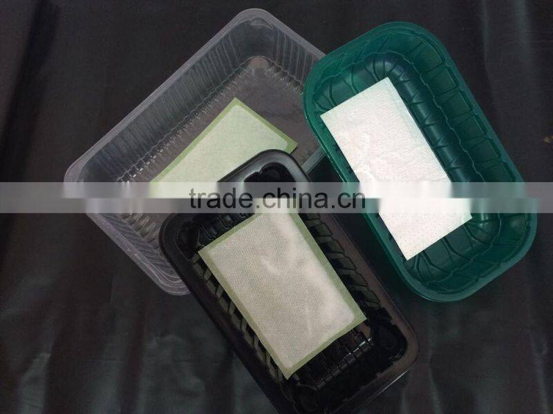 China Manufacturer Plastic Vacuum Forming Fresh Meat Fruit Disposable Plastic Food Container