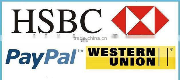 usb travel charger 5v 1a for iPhone