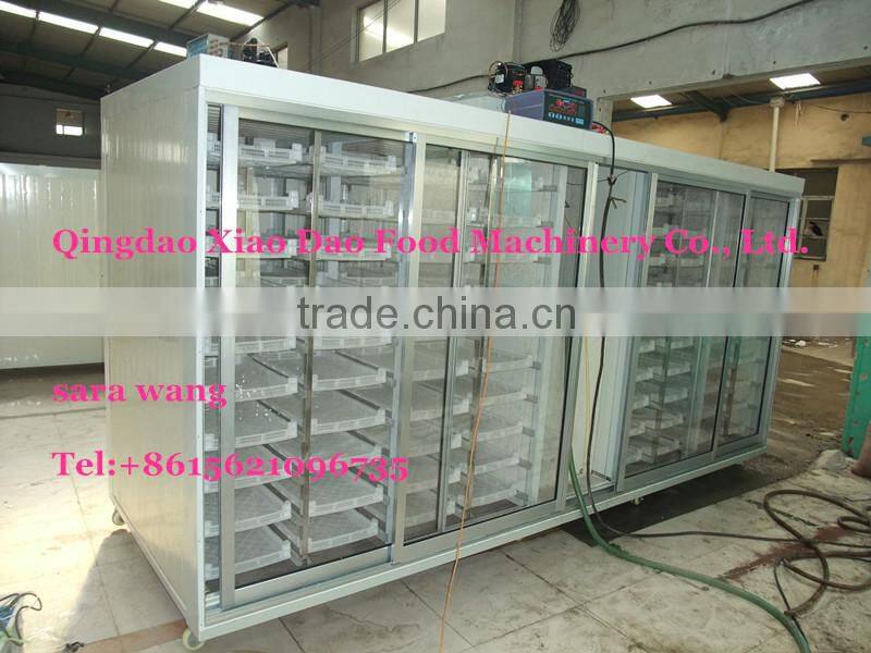 commercial hydroponics machine/Bud seedling machine/animal fodder machine/+8615621096735