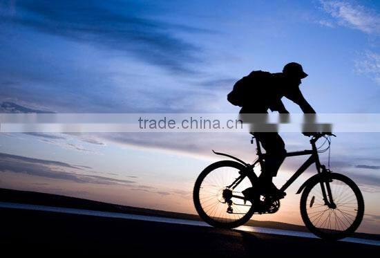 2015 New design durable hand bike pump