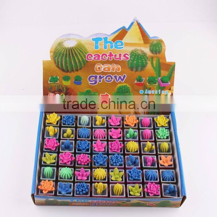 50TPD tea seed oil processing machine