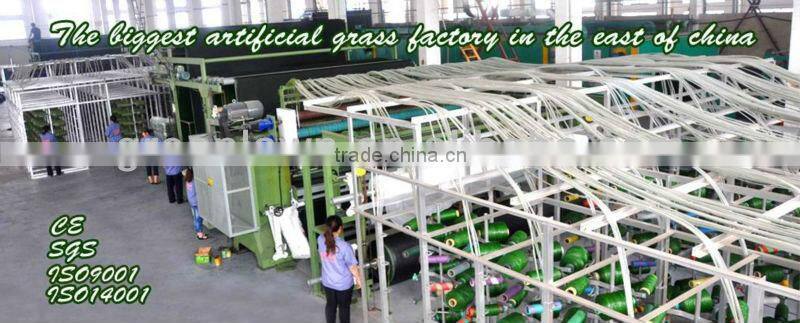 30mm height, green colors with curlve yarn below, monofilament gras yarn, artificial grass wall