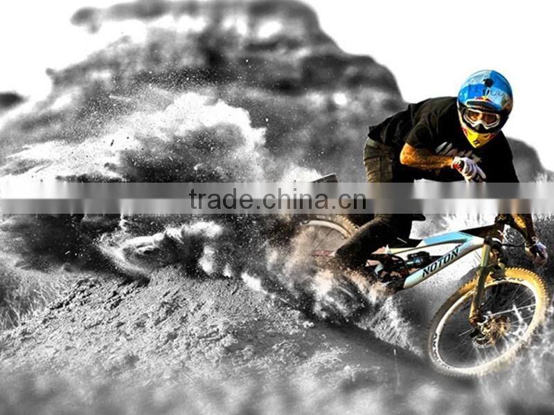 Wholesale genuine big bike cycling helmet integrally molded helmet road bike helmet