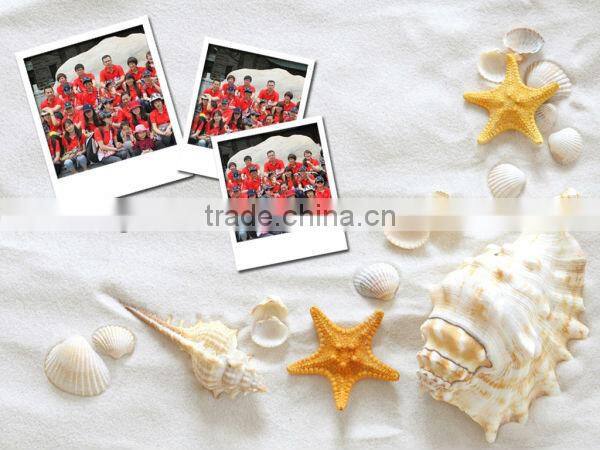 swimwear for fat women