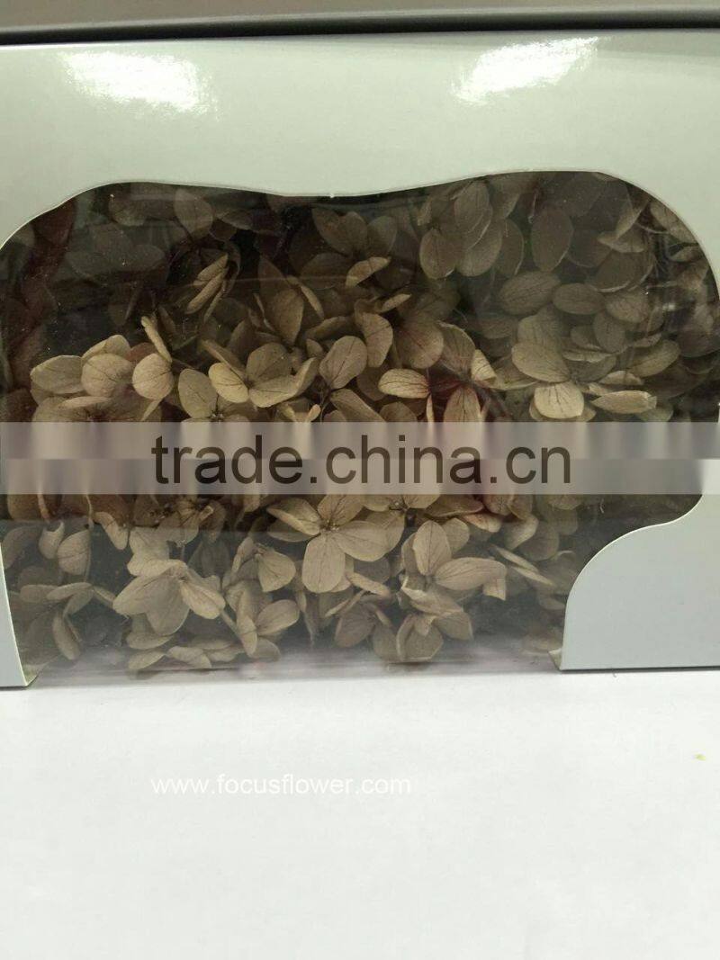 Top Quality Flower Export Preserved Flower Colorful Wholesale Artificial Hydrangea Flowers
