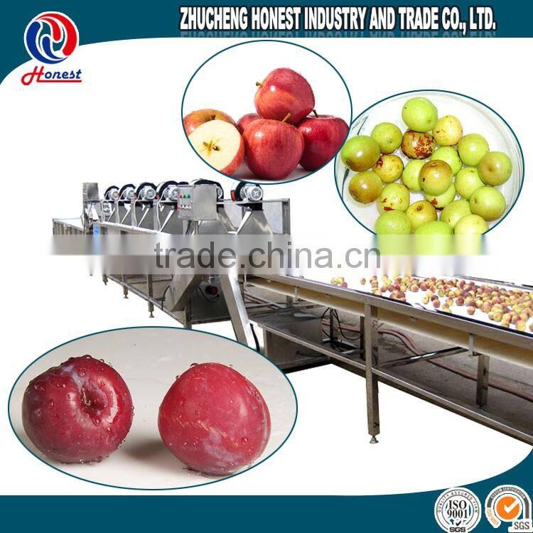 New designed fruit and vegetable processing machines