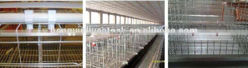 Hot selling Nipple drinking fountains with great price