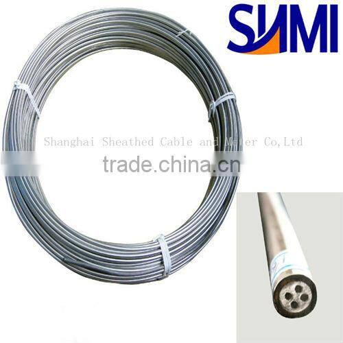 Industrial stainless steel sheath N Type 4.0mm Duplex 4-core Mi Thermocouple Cable