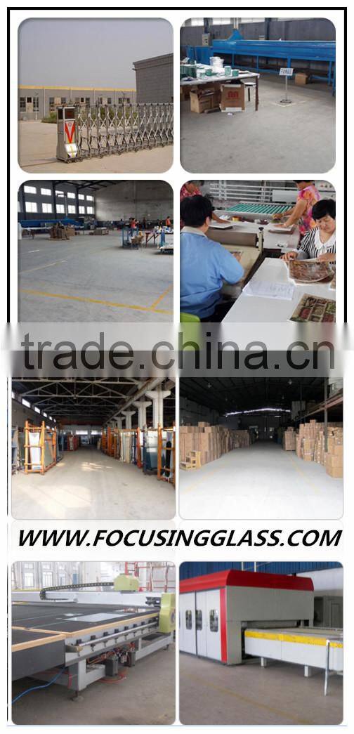 Flower Pattern Decal Tempered Glass Coaster