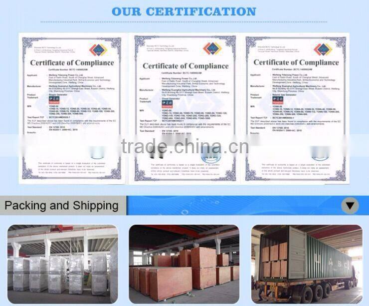 Yidaneng Power 25kw 30kw yangdong diesel engine generator