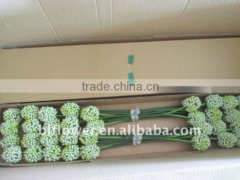 artificial plastic allium