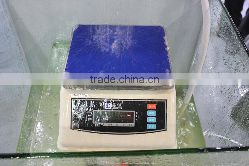 IP 68 electronic waterproof weighing scale