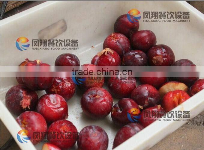 High Quality Plum Stoner, Plum Pitter, Plum Corer with CE certificated