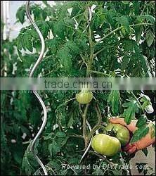 Green Spiral Tomato Plant Stakes
