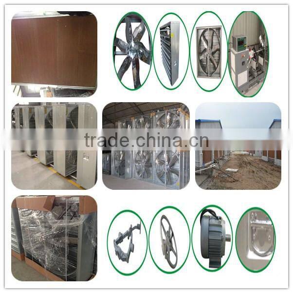 Zhongzhou automatic poultry battery chicken cage for Africa