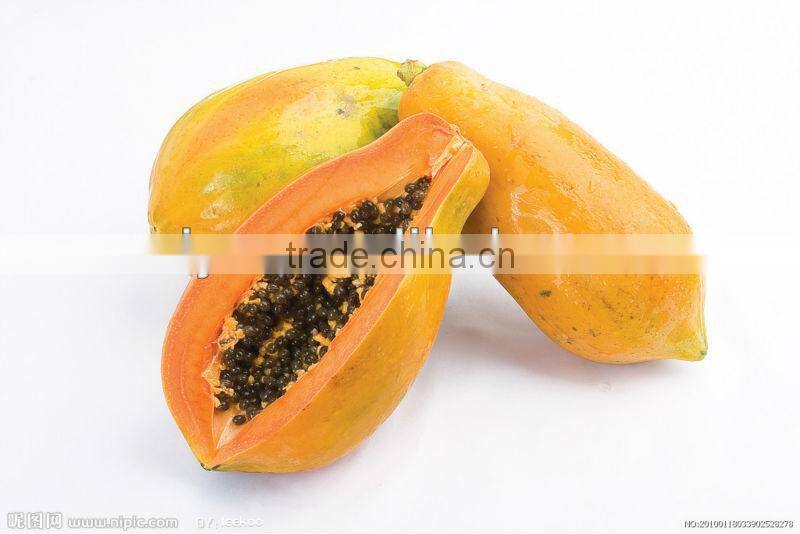 hot sale hot sale fruit peeler/ apple peeler