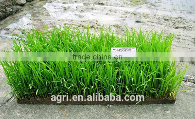 SBL-280 High quality Chinese seeder planter transplanter