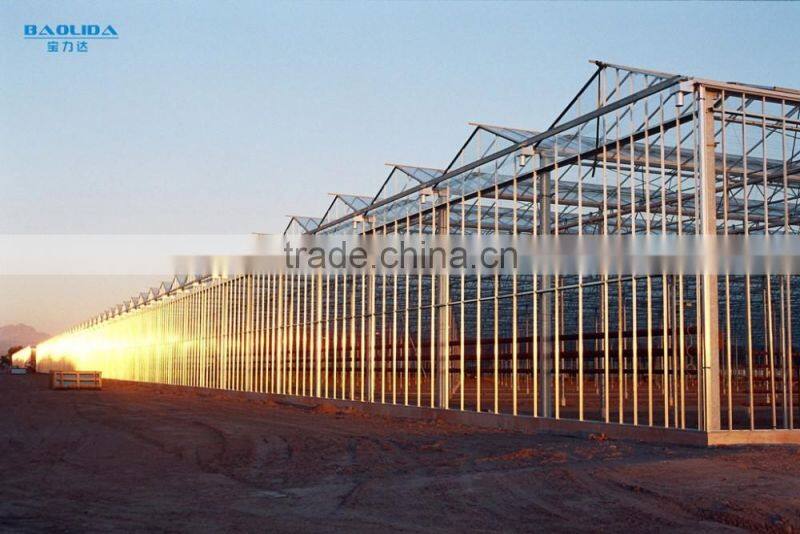 Modern Appearance used greenhouse sale/greenhouses for tomatoes for sale/commercial greenhouse for sale