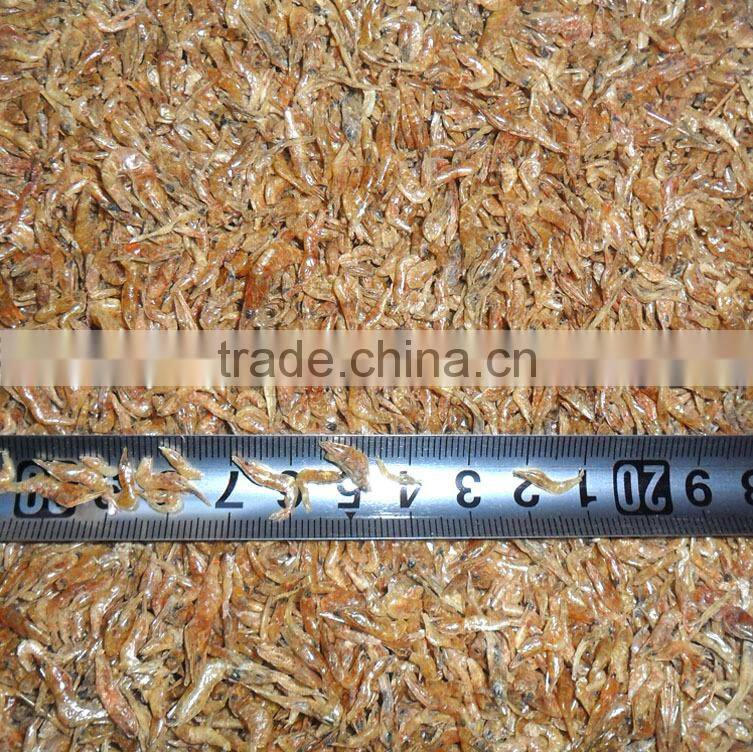 Shrimp exporters top quality sun dried shrimp