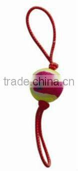 funny & lovely traning pet toys